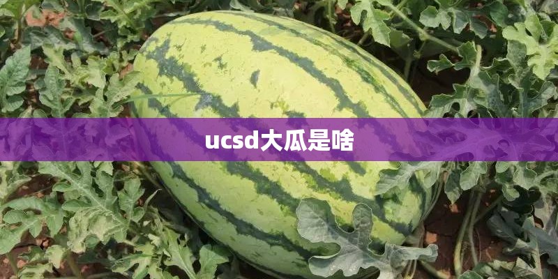 周阳的人物履历