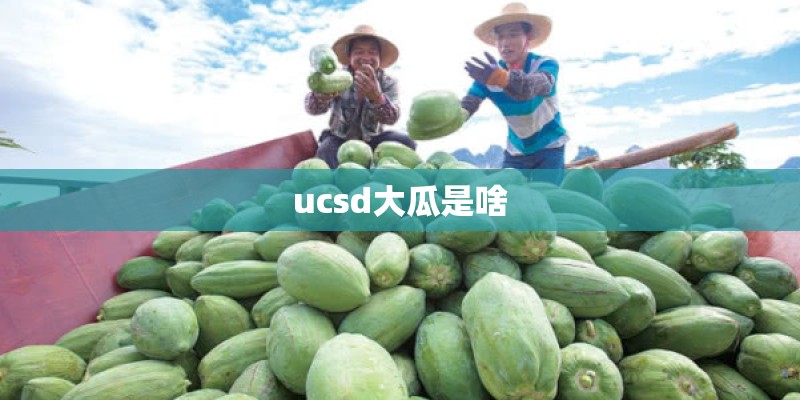 ucsd大瓜是啥