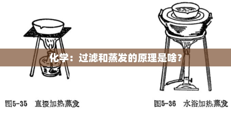 周阳的人物履历