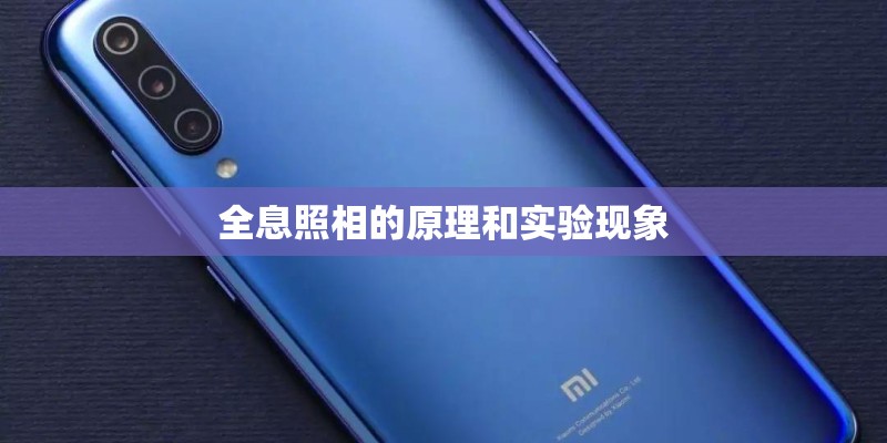 周阳的人物履历