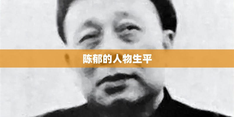 周阳的人物履历