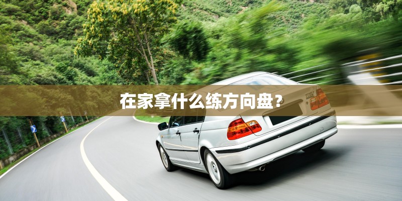 在家拿什么练方向盘？