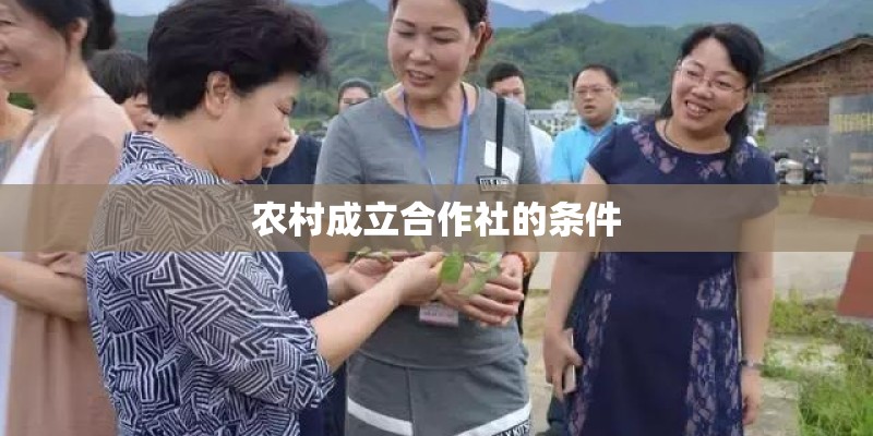 农村成立合作社的条件 农村成立合作社的条件