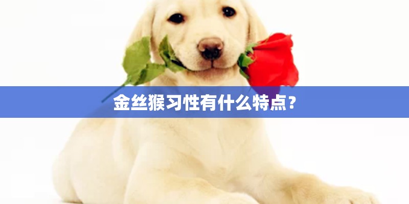 有史以来最搞笑的笑话