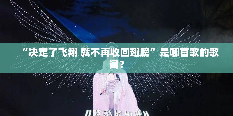 “决定了飞翔 就不再收回翅膀”是哪首歌的歌词？