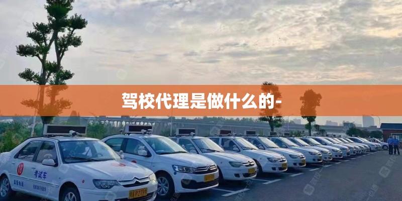 驾校代理是做什么的- 驾校代理是做什么的-