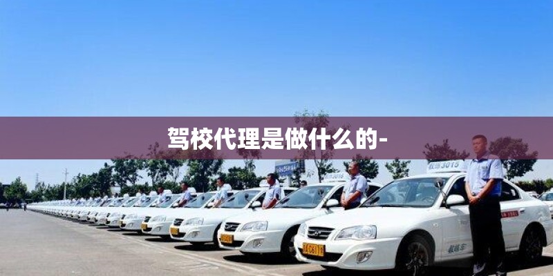 驾校代理是做什么的- 驾校代理是做什么的-