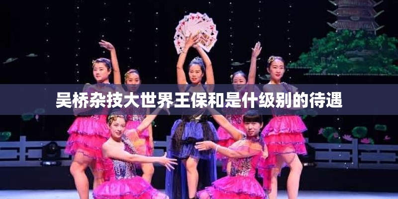 吴桥杂技大世界王保和是什级别的待遇