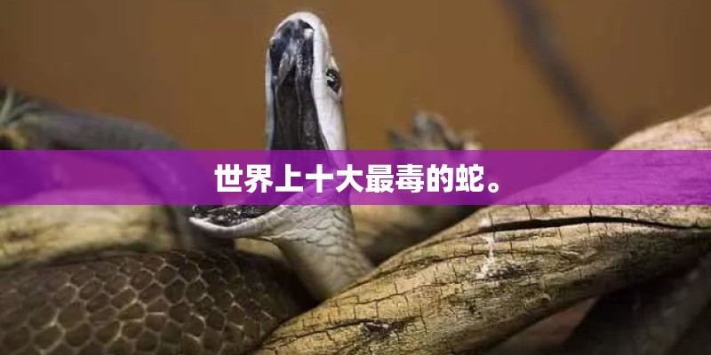 著名物理学家冯端院士的人物生平如何？