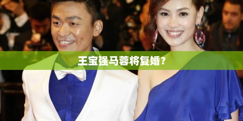 王宝强马蓉将复婚? 王宝强马蓉将复婚?