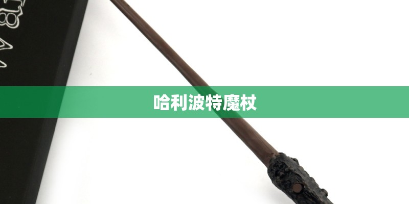 哈利波特魔杖