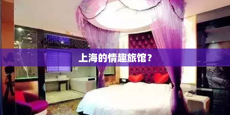 上海的情趣旅馆？