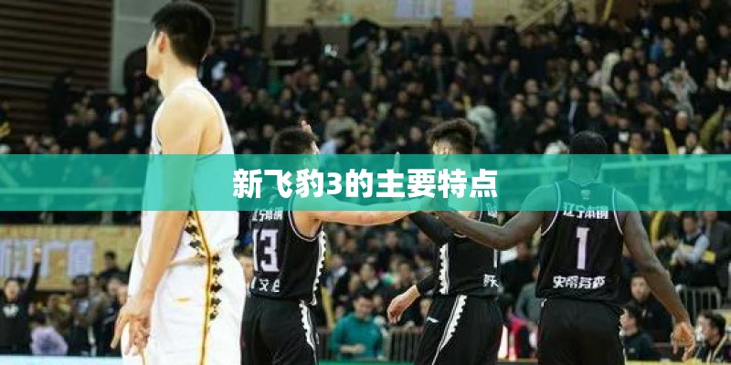 新飞豹3的主要特点