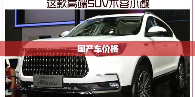 国产车价格