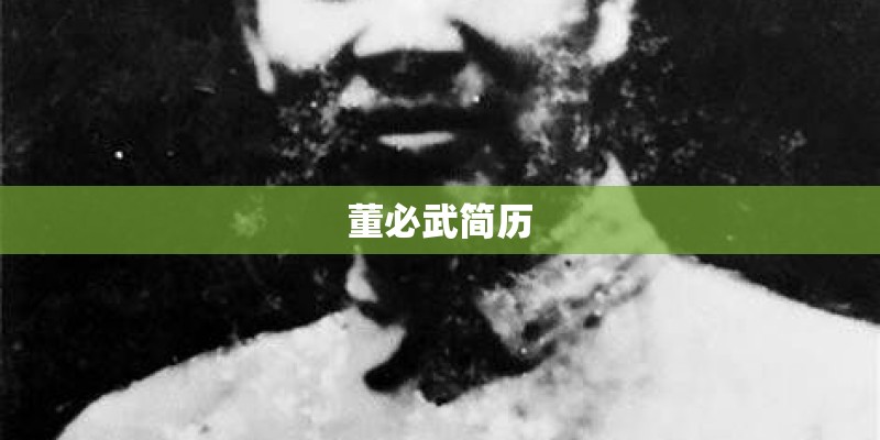 董必武简历