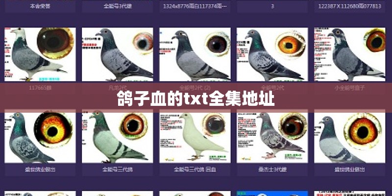 鸽子血的txt全集地址 鸽子血的txt全集地址