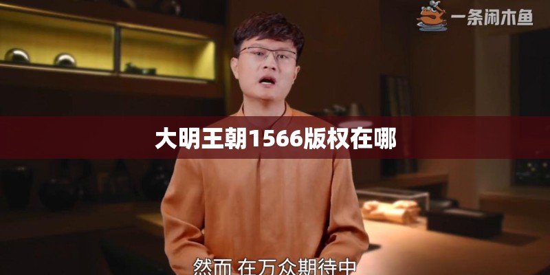 大明王朝1566版权在哪