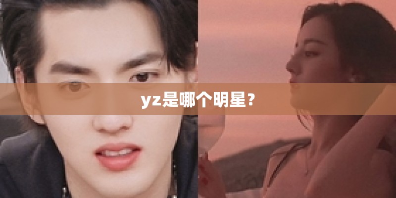 yz是哪个明星？