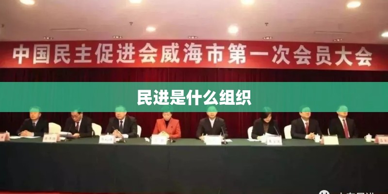 民进是什么组织