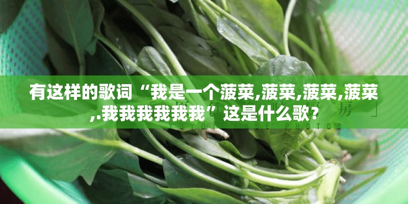有这样的歌词“我是一个菠菜,菠菜,菠菜,菠菜,.我我我我我我”这是什么歌？