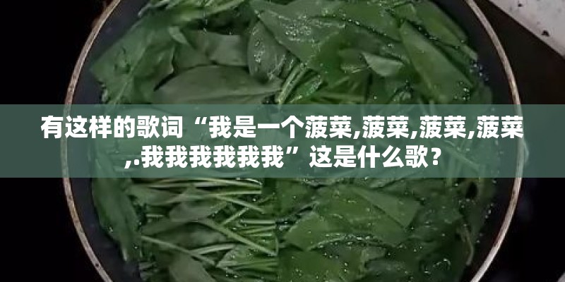 有这样的歌词“我是一个菠菜,菠菜,菠菜,菠菜,.我我我我我我”这是什么歌？